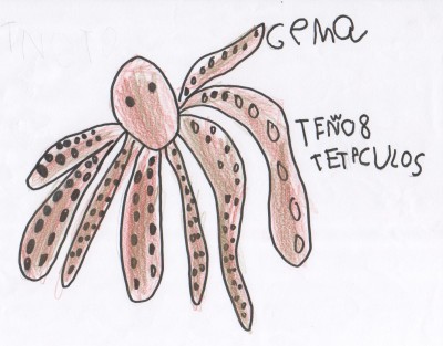 Pulsar para ver a imaxen orixinal